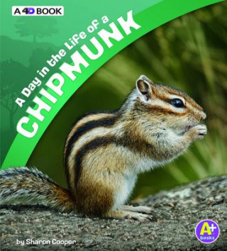 Carte A Day in the Life of a Chipmunk: A 4D Book Sharon Katz Cooper