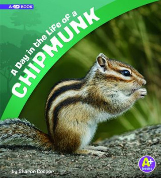 Buch A Day in the Life of a Chipmunk: A 4D Book Sharon Katz Cooper