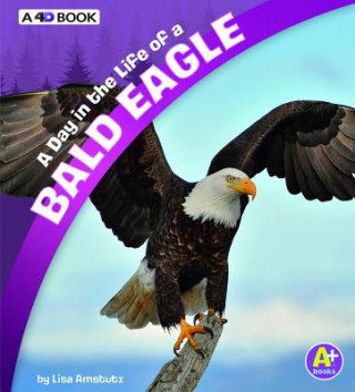 Kniha A Day in the Life of a Bald Eagle: A 4D Book Lisa J Amstutz