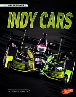 Książka Indy Cars Carrie A Braulick