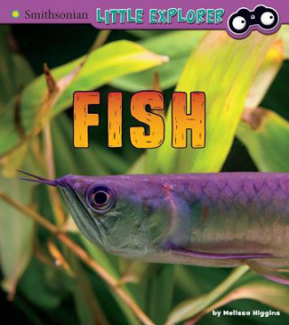 Boek Fish: A 4D Book Melissa Higgins