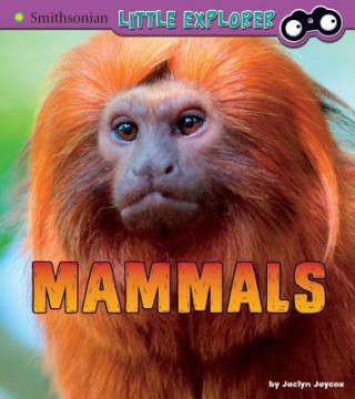 Knjiga Mammals: A 4D Book Jaclyn Jaycox