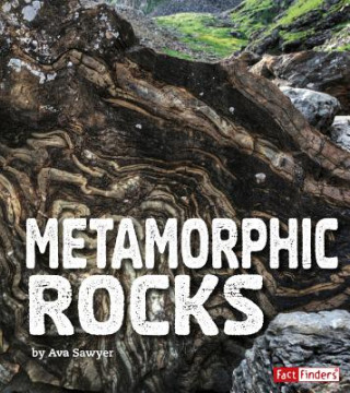 Book Metamorphic Rocks Ava Sawyer