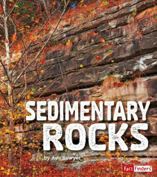 Knjiga Sedimentary Rocks Ava Sawyer