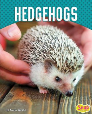Kniha Hedgehogs Paula M Wilson