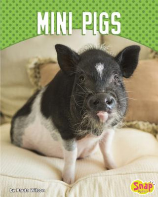 Książka Mini Pigs Paula M Wilson