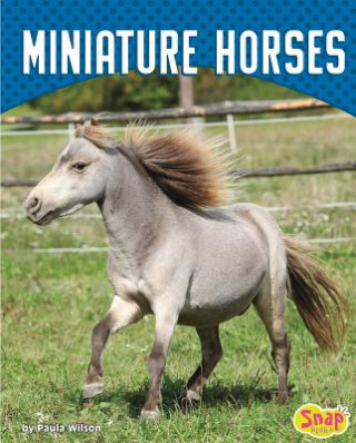Książka Miniature Horses Paula M Wilson