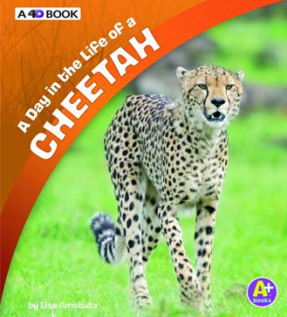 Carte A Day in the Life of a Cheetah: A 4D Book Lisa J Amstutz