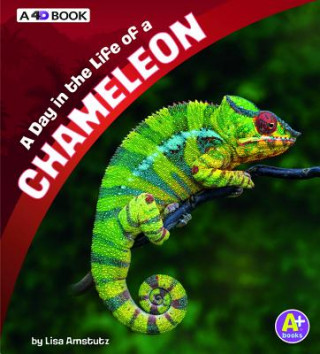 Kniha A Day in the Life of a Chameleon: A 4D Book Lisa J Amstutz