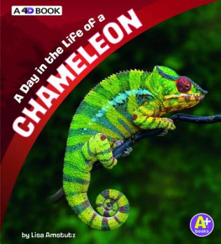 Libro A Day in the Life of a Chameleon: A 4D Book Lisa J Amstutz