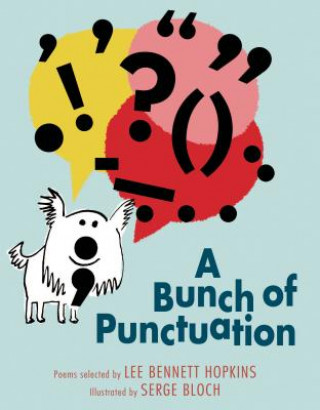 Livre A Bunch of Punctuation Lee Bennett Hopkins