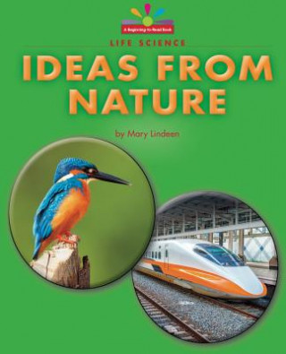 Könyv Ideas from Nature Mary Lindeen