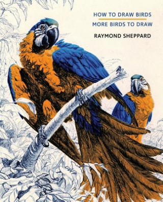 Книга How to Draw Birds / More Birds to Draw Raymond Sheppard