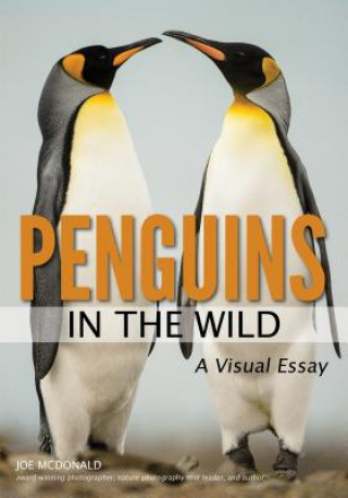 Книга Penguins In The Wild Joe McDonald