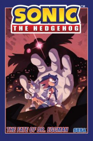 Knjiga Sonic the Hedgehog, Vol. 2: The Fate of Dr. Eggman Ian Flynn