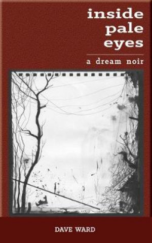 Boek Inside Pale Eyes Dave Ward