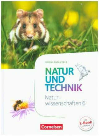 Könyv Natur und Technik - Naturwissenschaften: Neubearbeitung - Rheinland-Pfalz - 6. Schuljahr: Naturwissenschaften Volker Abegg