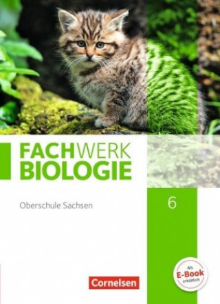 Könyv Fachwerk Biologie - Sachsen - 6. Schuljahr Udo Hampl