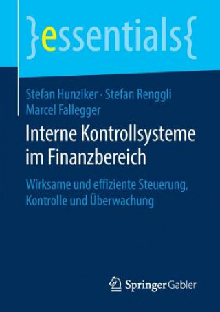 Libro Interne Kontrollsysteme Im Finanzbereich Stefan Hunziker