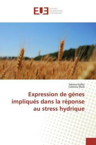 Könyv Expression de gènes impliqués dans la réponse au stress hydrique Fahima Neffar
