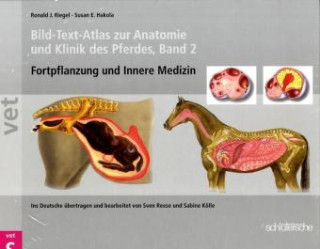 Kniha Bild-Text-Atlas zur Anatomie und Klinik des Pferdes 2 Ronald J. Riegel