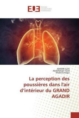 Kniha La perception des poussières dans l'air d'intérieur du GRAND AGADIR Amarir Salih