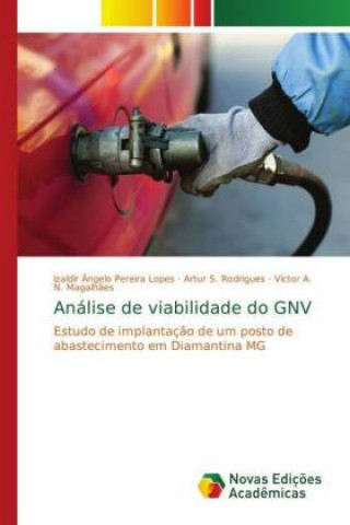 Buch Analise de viabilidade do GNV Izaldir Ângelo Pereira Lopes