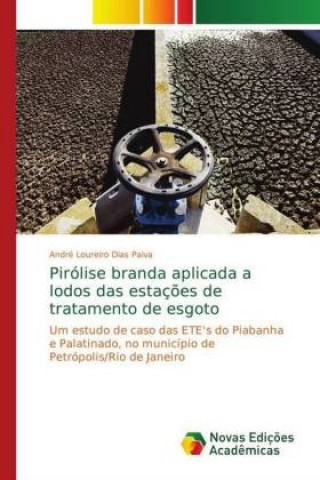 Book Pirolise branda aplicada a lodos das estacoes de tratamento de esgoto André Loureiro Dias Paiva