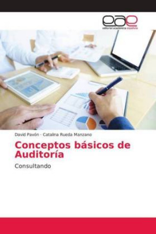 Книга Conceptos basicos de Auditoria David Pavón