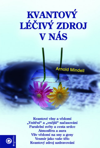 Könyv Kvantový léčivý zdroj v nás Arnold Mindell