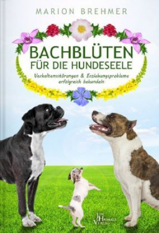 Kniha Bachblüten für die Hundeseele Marion Brehmer