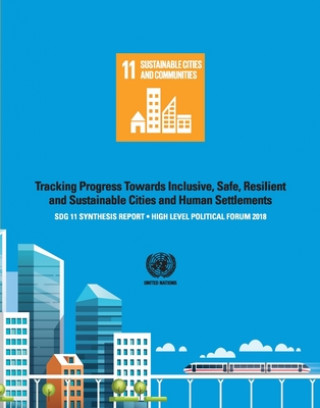 Kniha SDG 11 Synthesis Report 2018 UN-Habitat