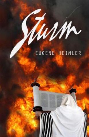 Kniha Sturm: Tragödie von Sinai Eugene Heimler