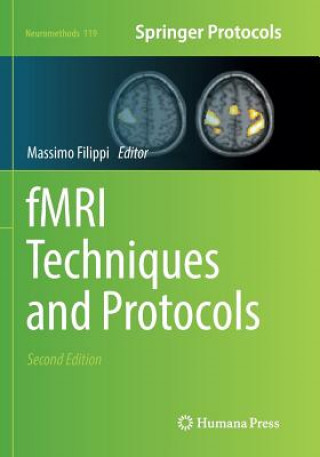 Könyv fMRI Techniques and Protocols Massimo Filippi