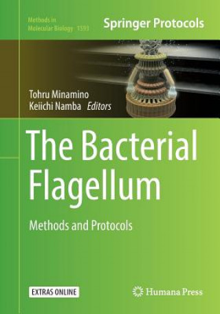 Könyv Bacterial Flagellum Tohru Minamino