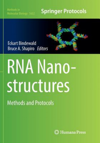 Книга RNA Nanostructures Eckart Bindewald