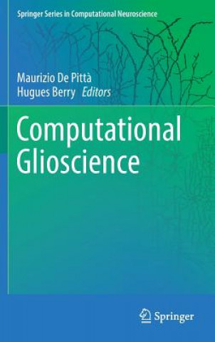 Book Computational Glioscience Maurizio de Pitt?