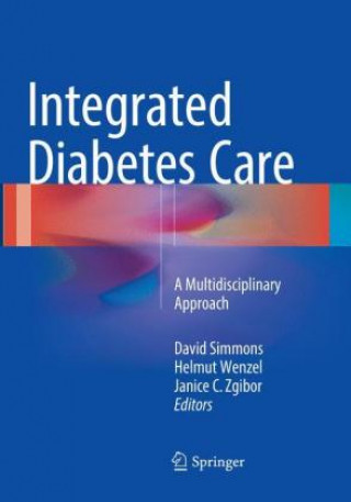 Kniha Integrated Diabetes Care David Simmons