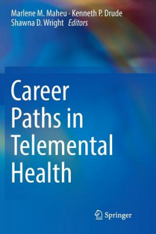 Kniha Career Paths in Telemental Health Kenneth P. Drude