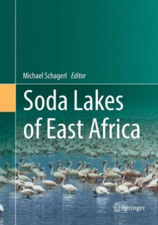 Carte Soda Lakes of East Africa Michael Schagerl
