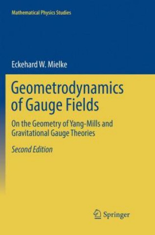 Könyv Geometrodynamics of Gauge Fields Eckehard W. Mielke