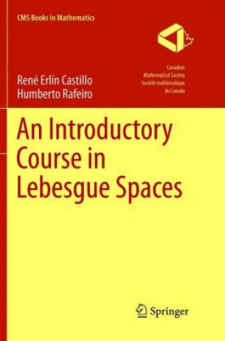 Kniha Introductory Course in Lebesgue Spaces Rene Erlin Castillo