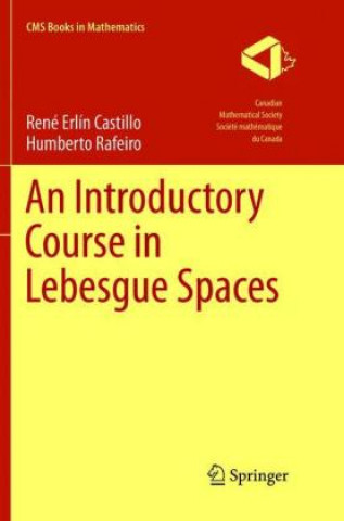 Book Introductory Course in Lebesgue Spaces Rene Erlin Castillo