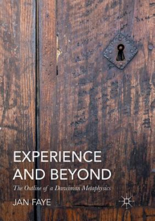 Kniha Experience and Beyond Jan Faye