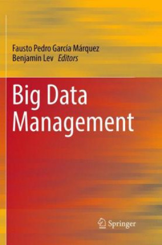Könyv Big Data Management Fausto Pedro García Márquez