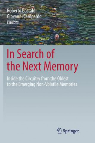 Könyv In Search of the Next Memory Giovanni Campardo