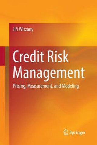 Kniha Credit Risk Management Jiri Witzany