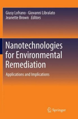 Kniha Nanotechnologies for Environmental Remediation Giusy Lofrano