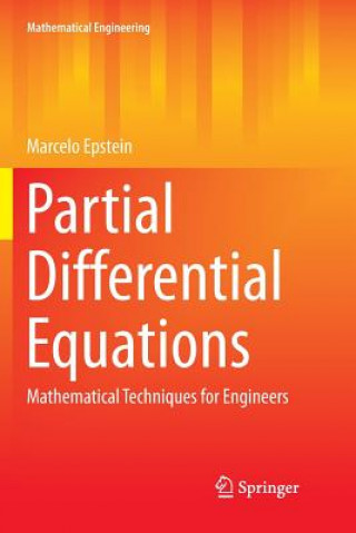 Книга Partial Differential Equations Marcelo Epstein