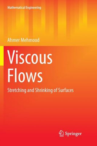 Knjiga Viscous Flows Ahmer Mehmood